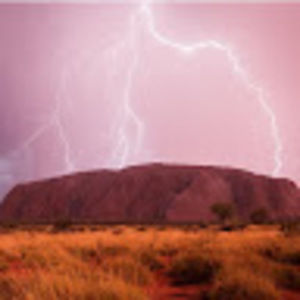 Meet your Posher, Remy